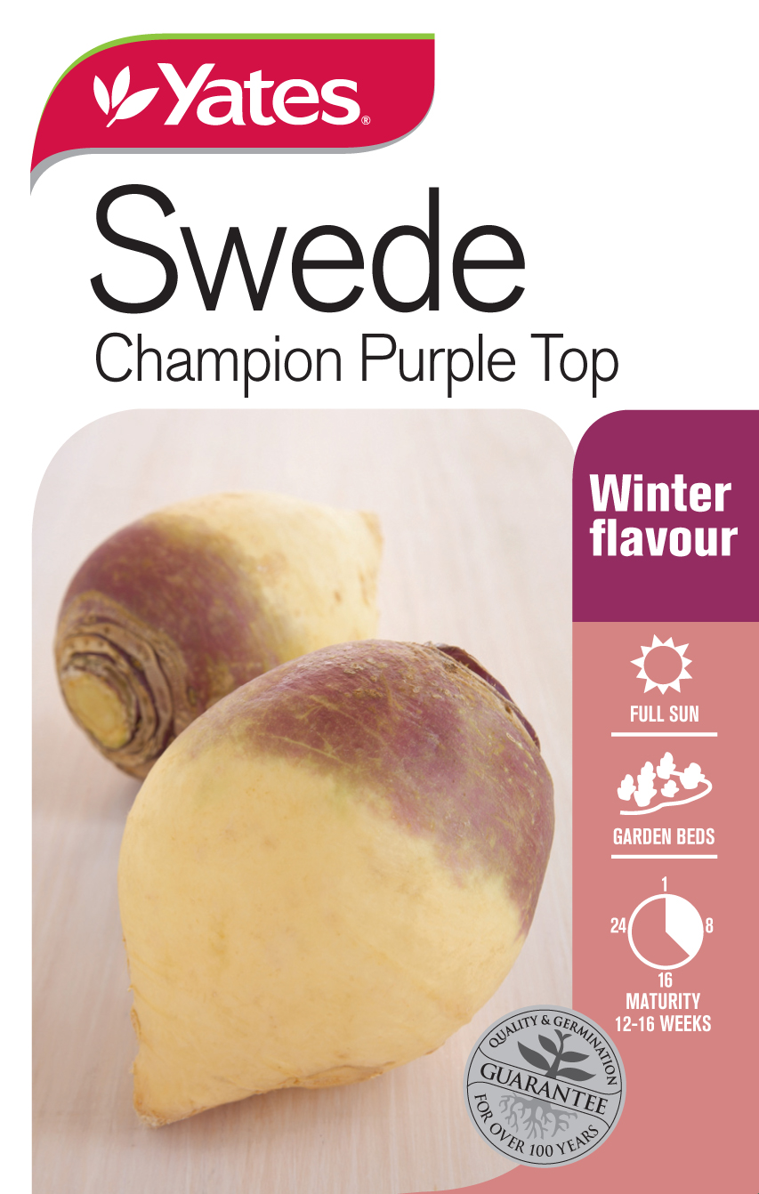Swede 'Champion Purple Top'