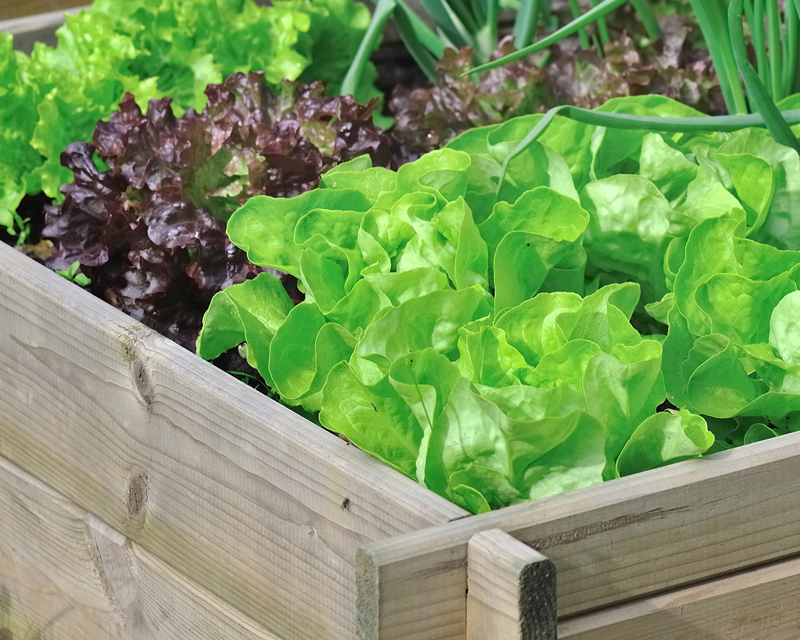 What to Do in September