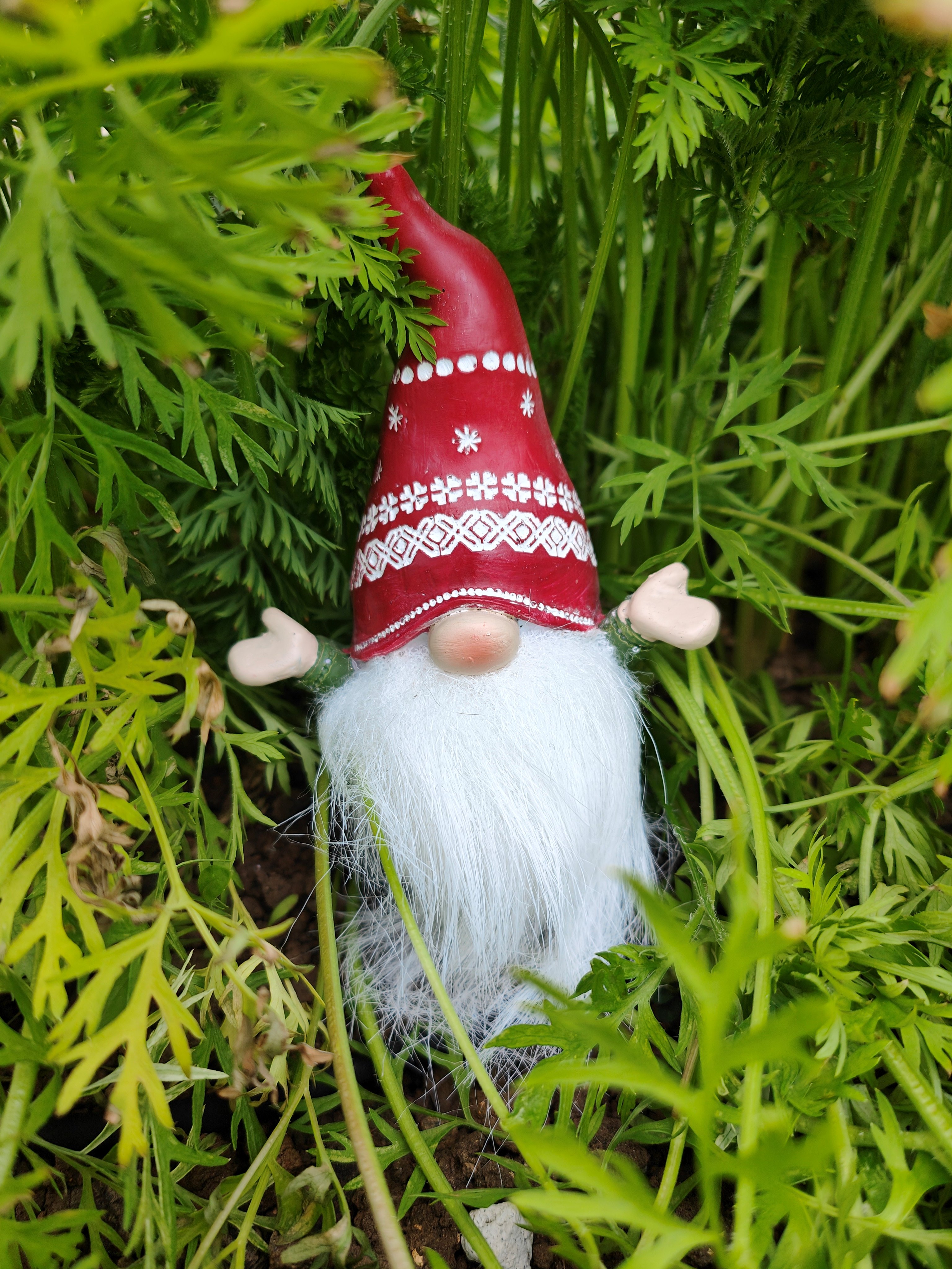 Congratulations To Our Winners