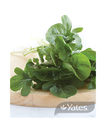 Rocket Large Leaf Product