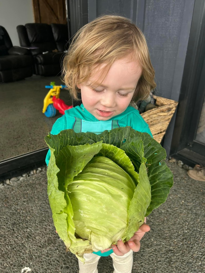 Marrows and cabbages
