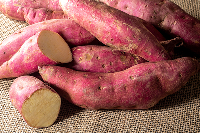 How to grow kumara Yates