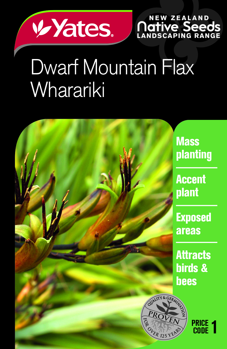 Wharariki - Dwarf Mountain Flax