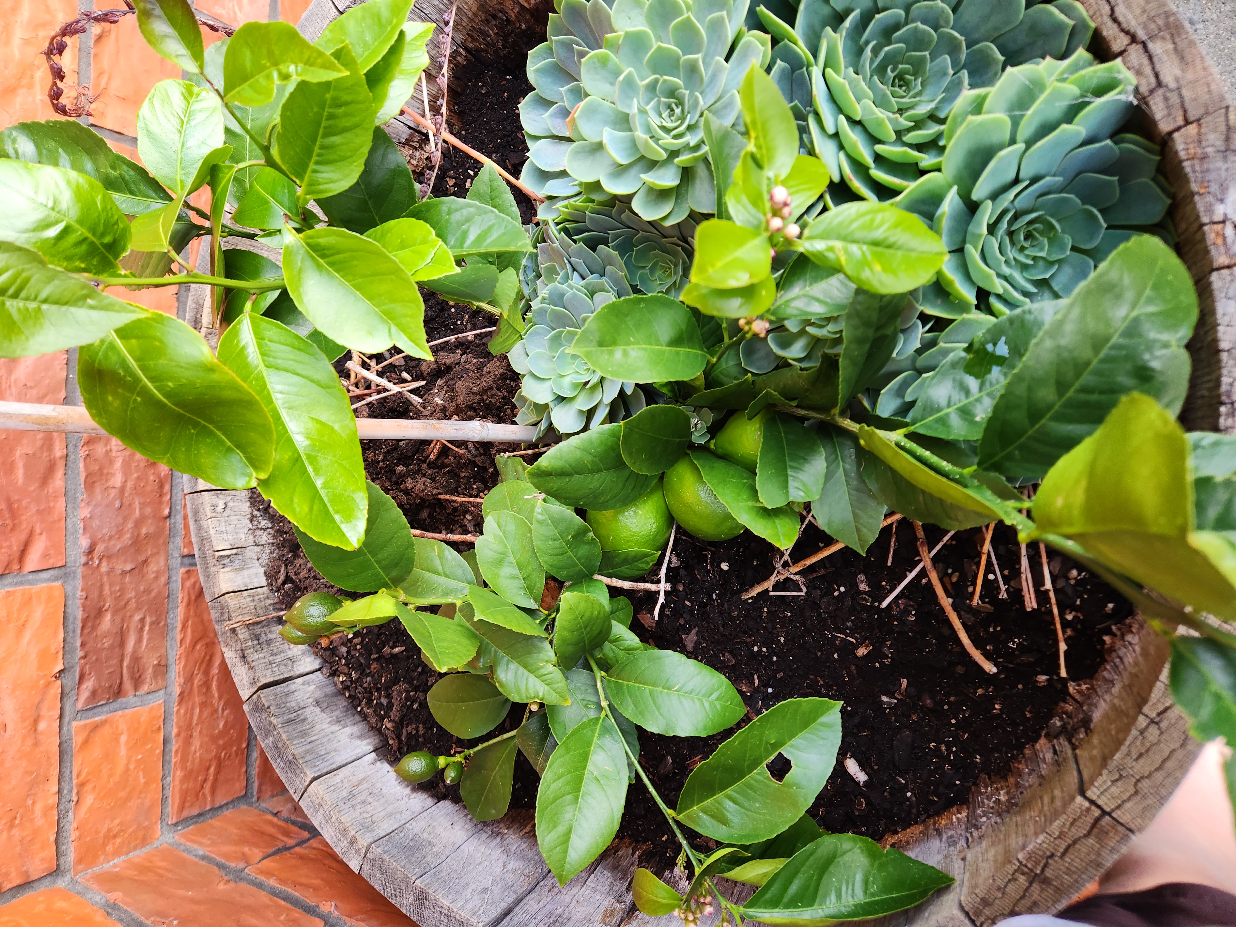 A little neglect goes a long way