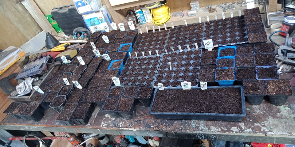 Sowing the Day Away...