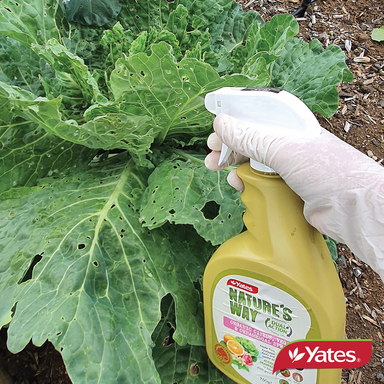 Yates Web Info CITRUS,VEG,Ornav2 07