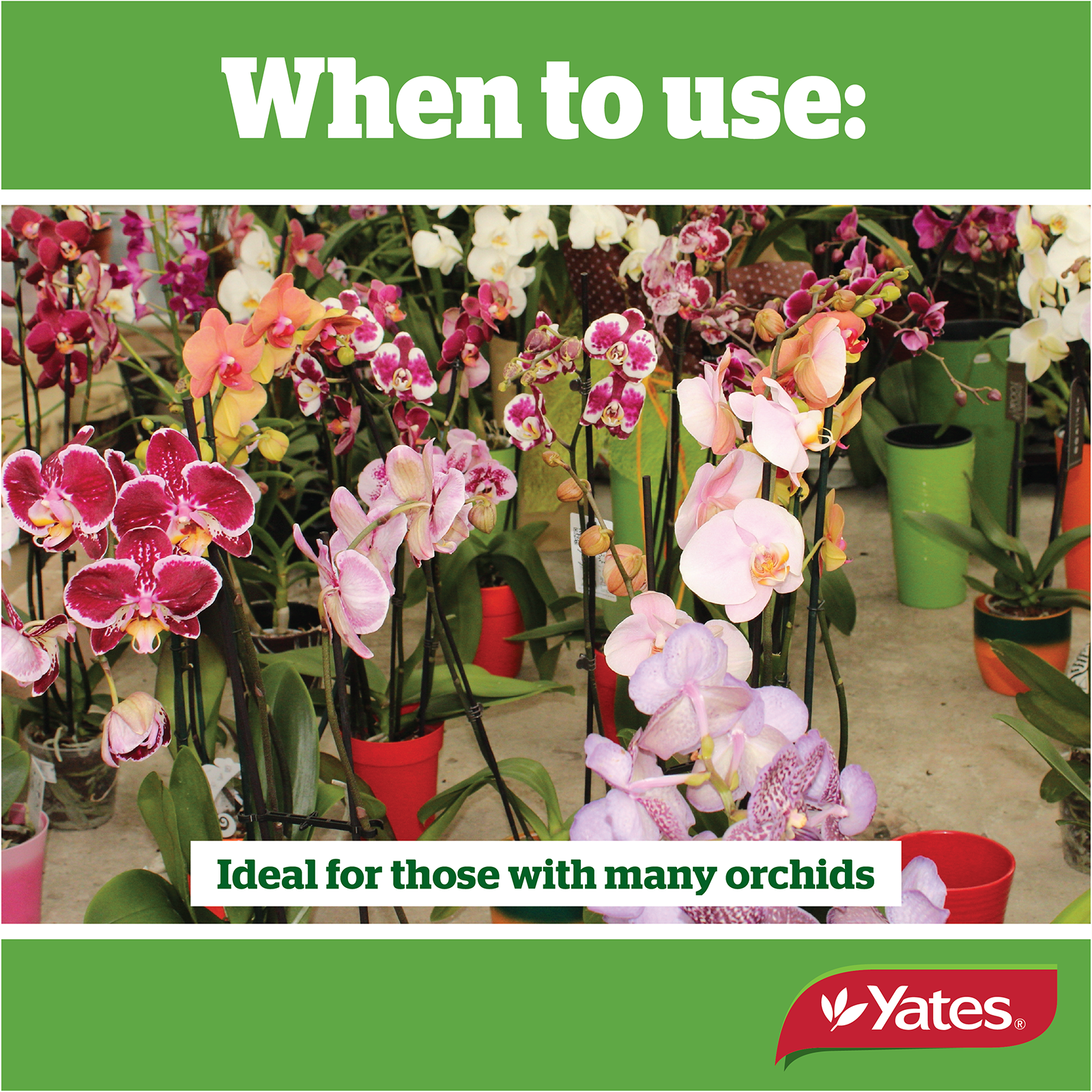 Yates Plant Orchid Liquid V2 04