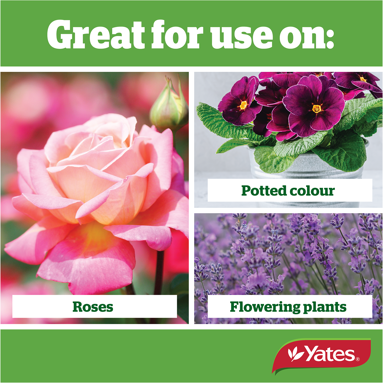 Yates Roses And Flowers Liquid V2 04
