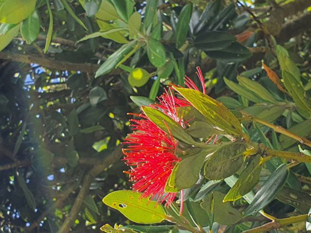 Can I get a drum roll please….