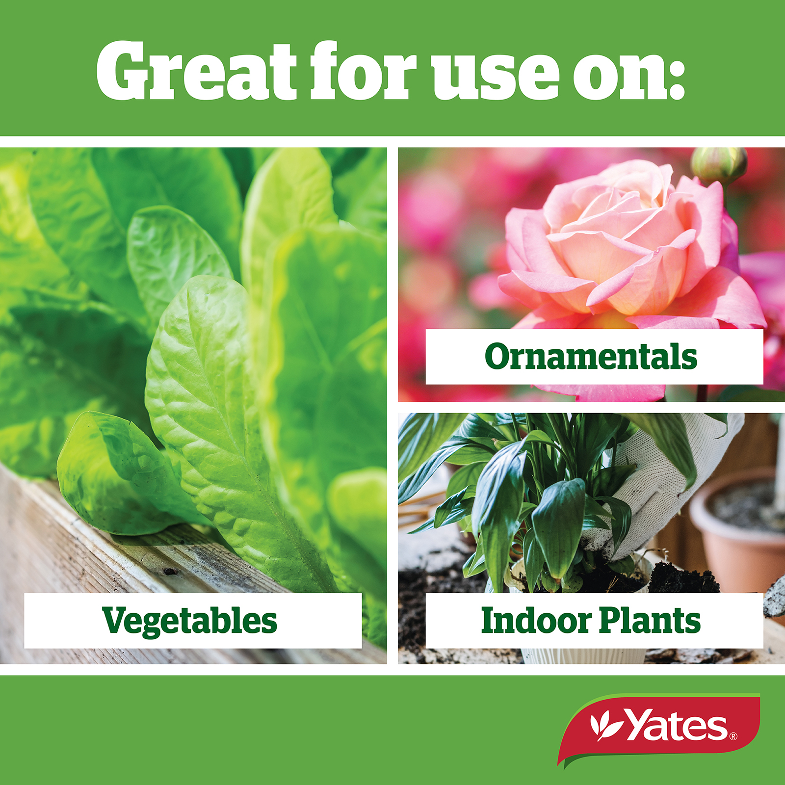 Yates Web Info Insect Gun RTU 750Ml 03