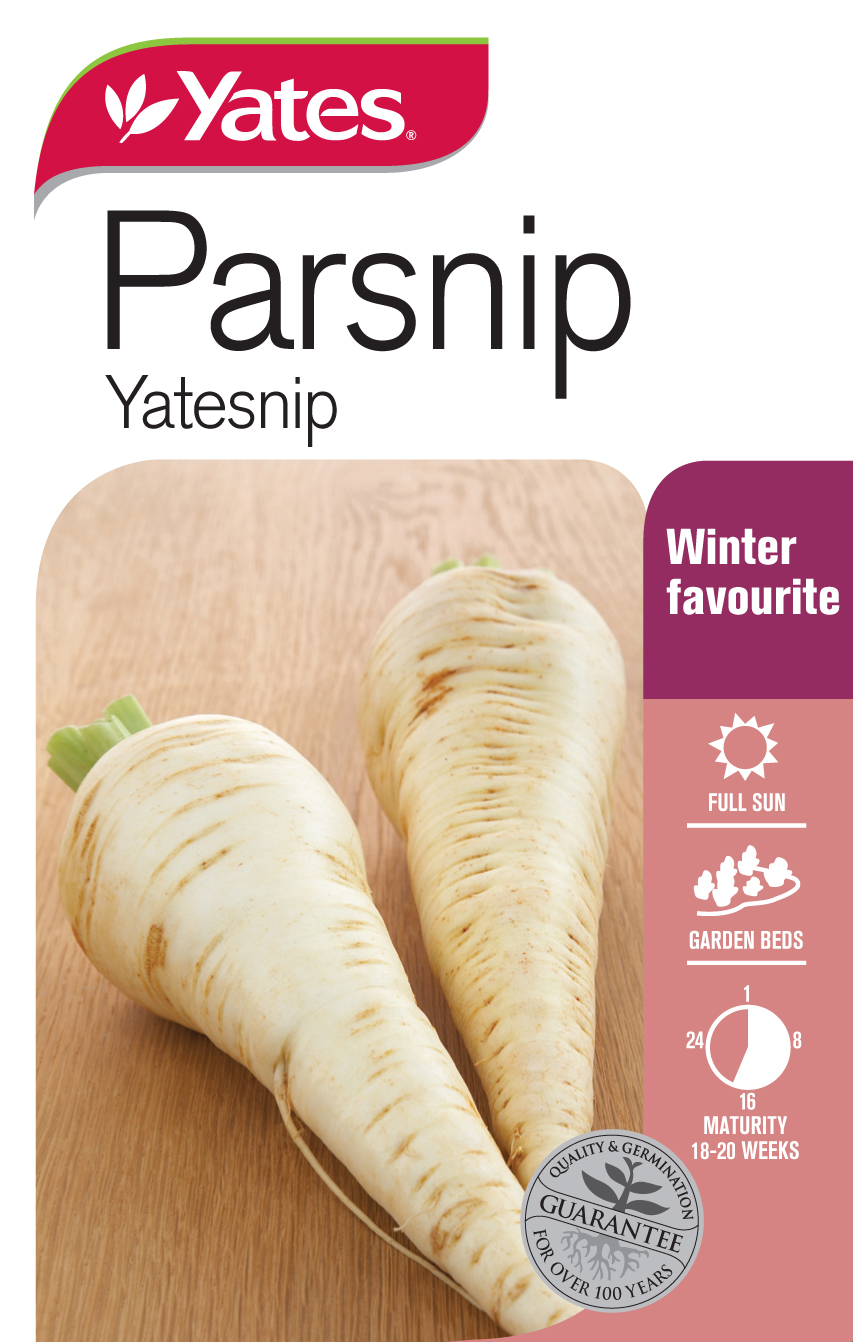 Parsnip 'Yatesnip'
