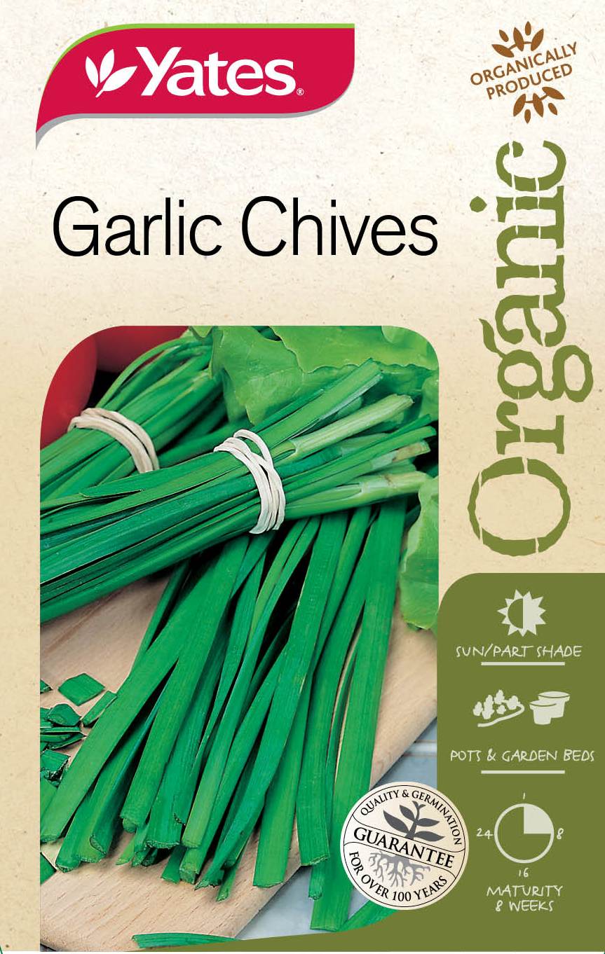 Garlic Chives (Organic)