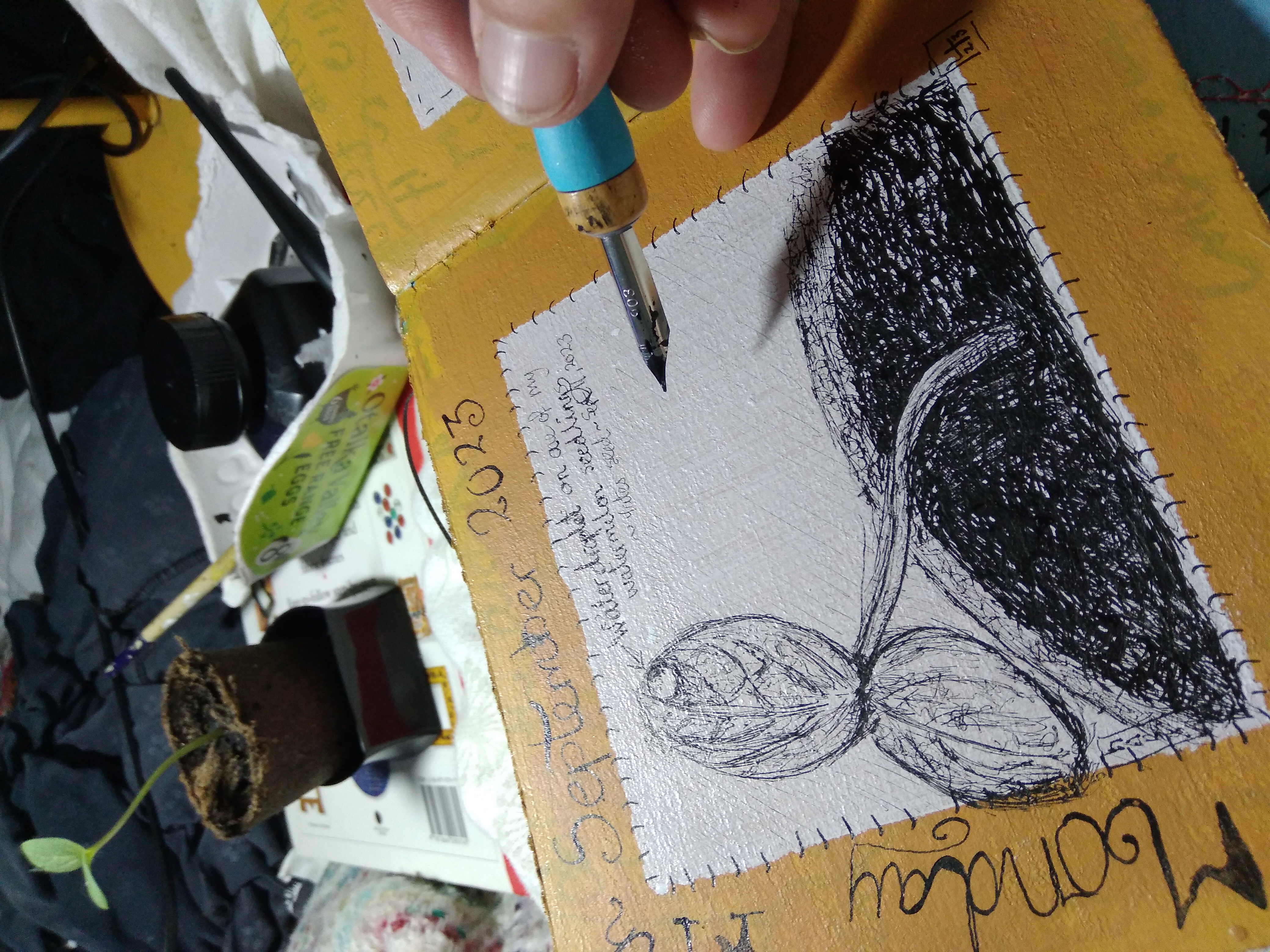 Wonderful Watermelons 