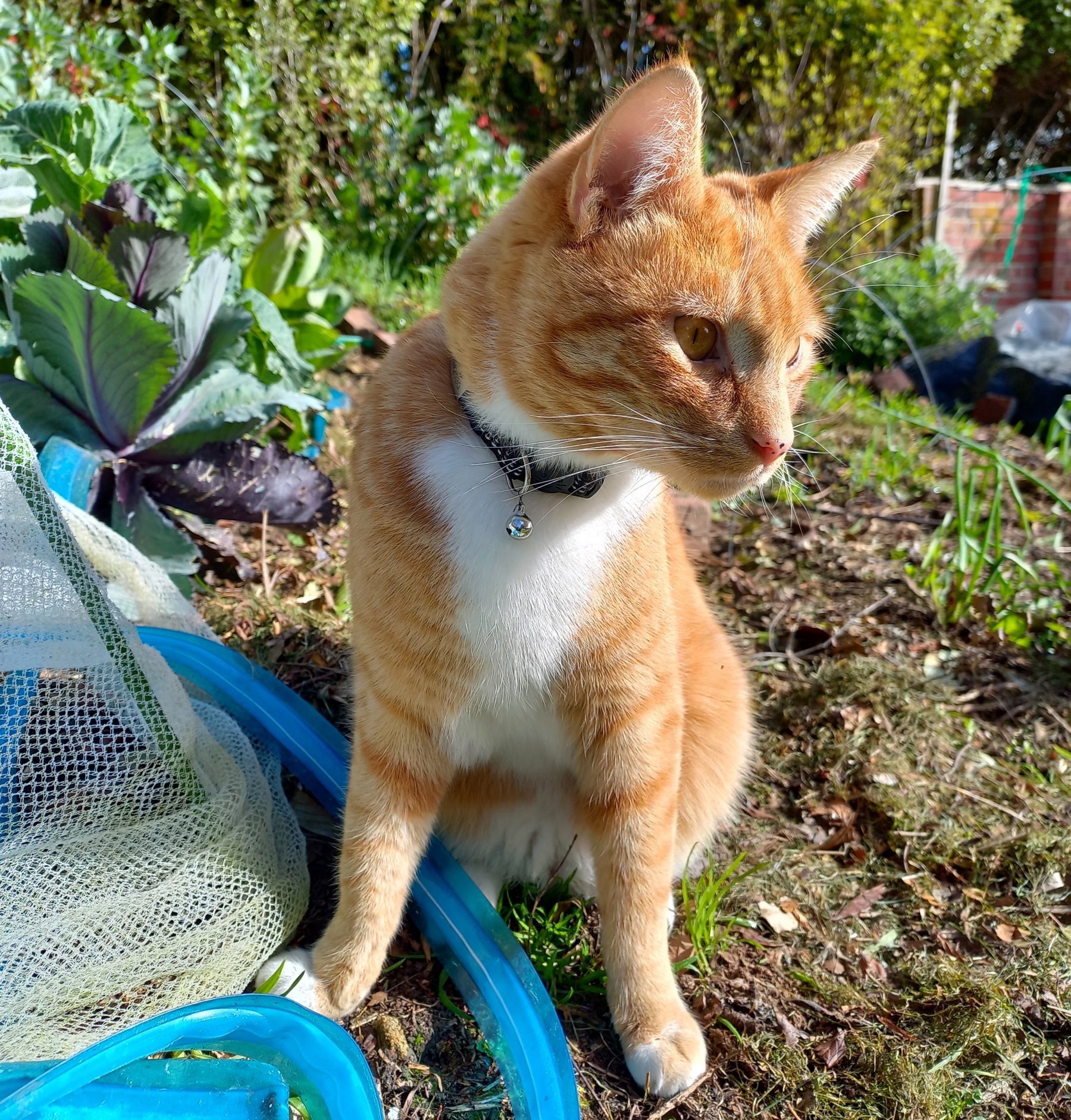 Sorry I won't be joining this year!