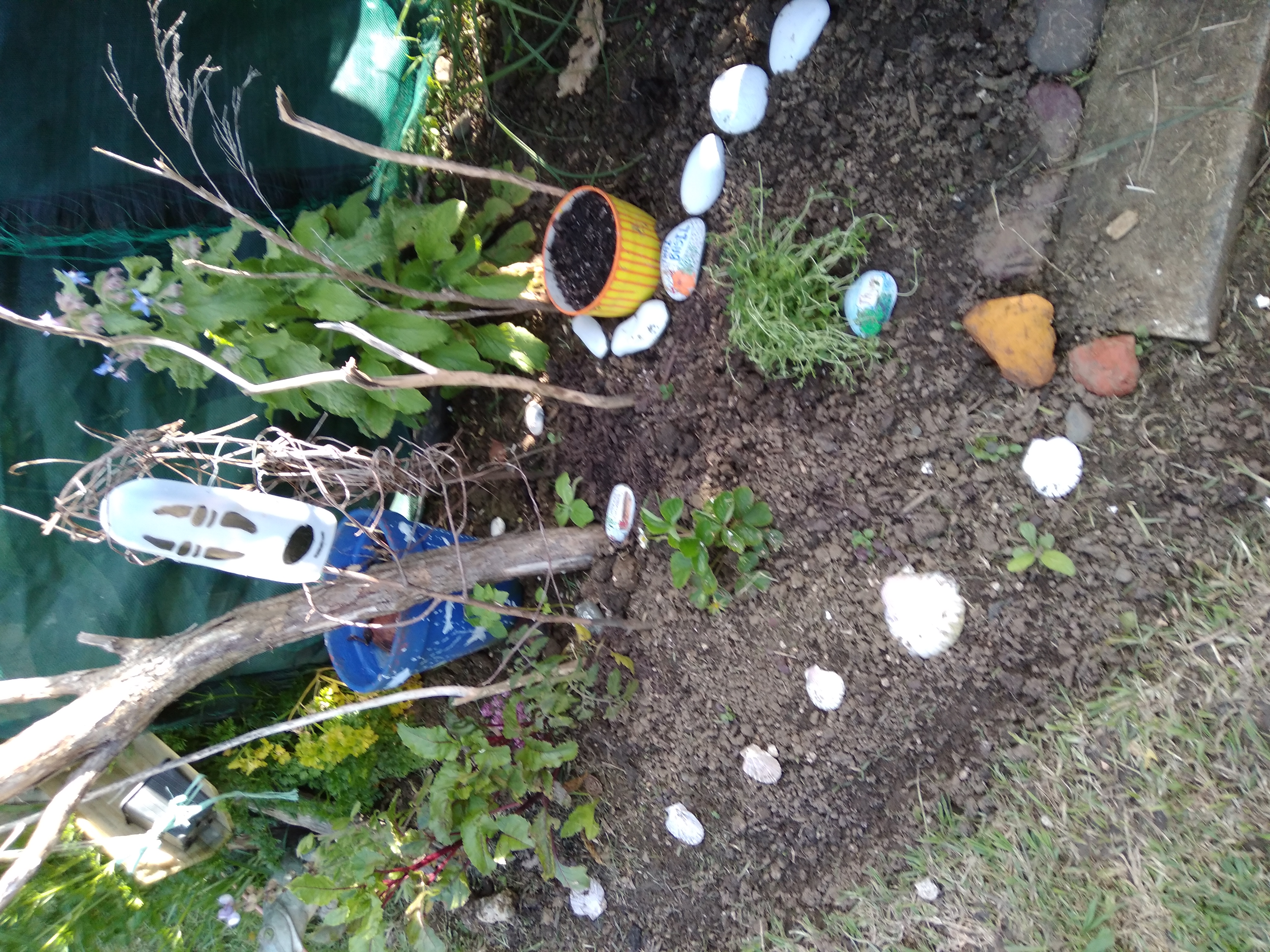 My Favourite Corner... and Planting a Dream