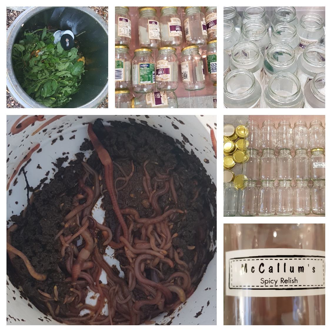 Good Friends Share Their Worms