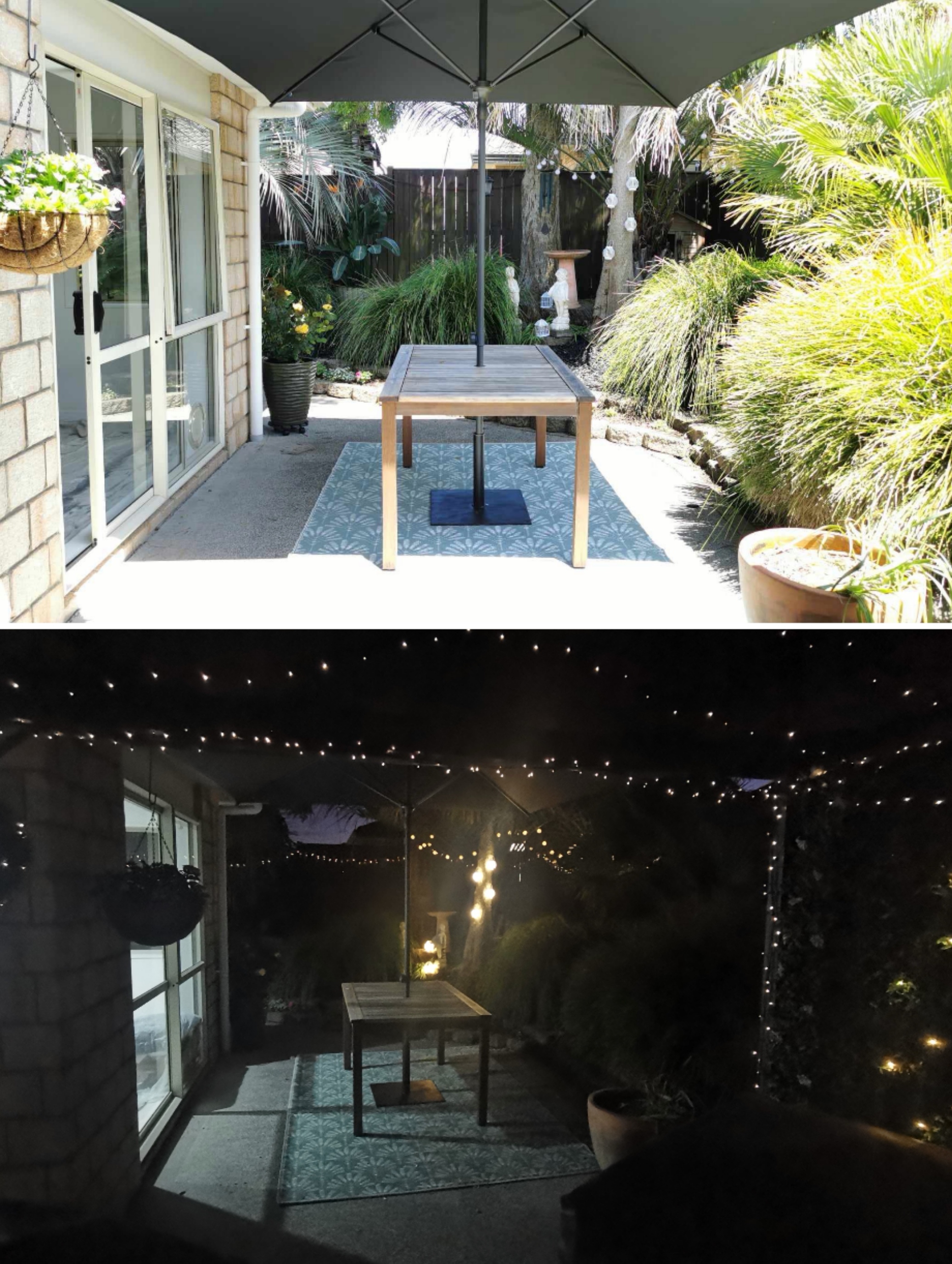 A walk around the garden 6