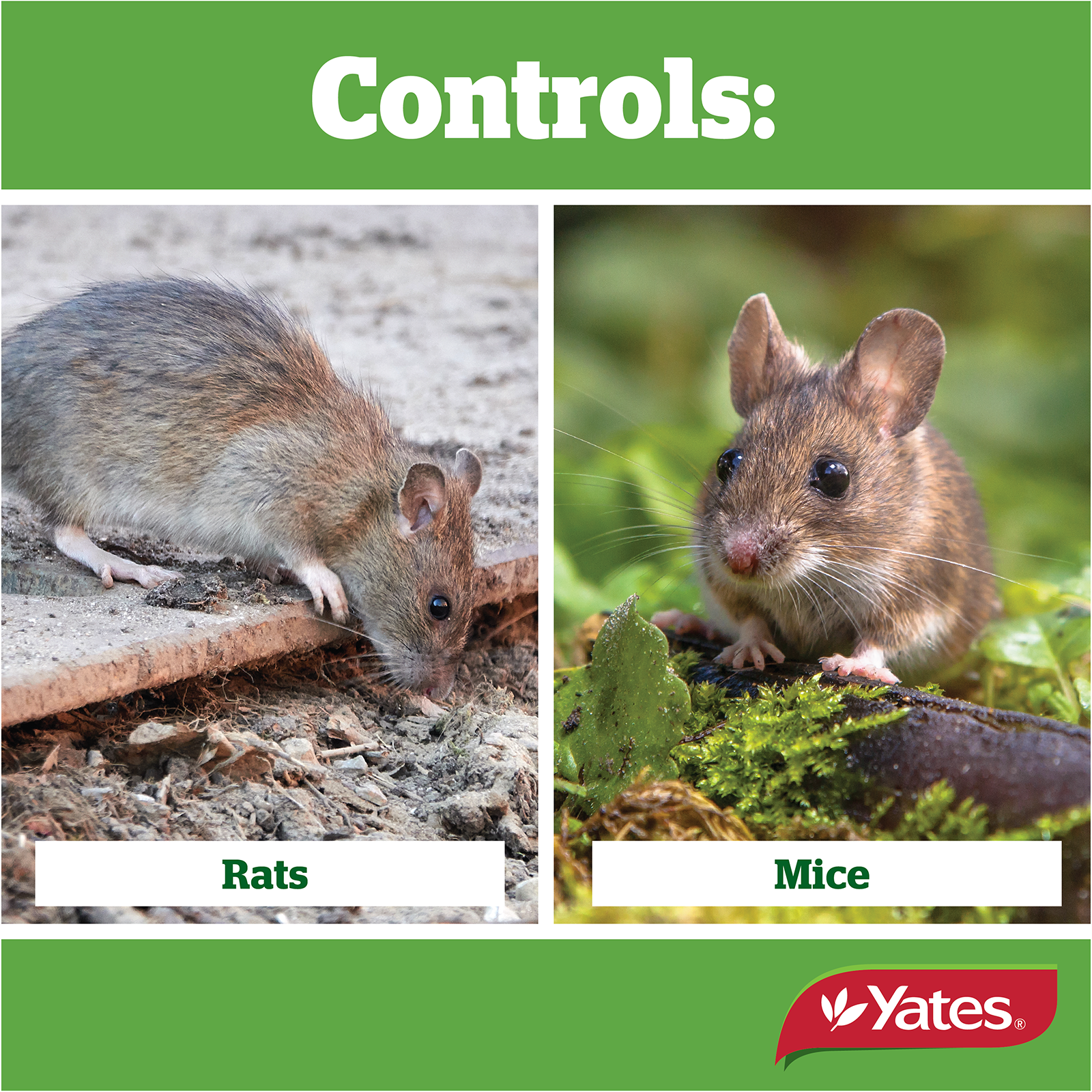 Yates Talon Pellets V2 04