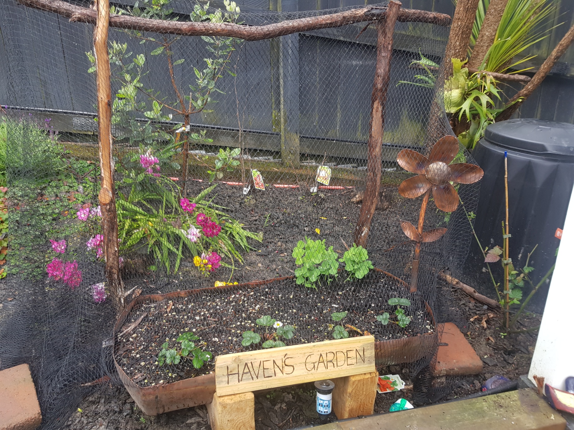 Proudest Dad Moment Ever