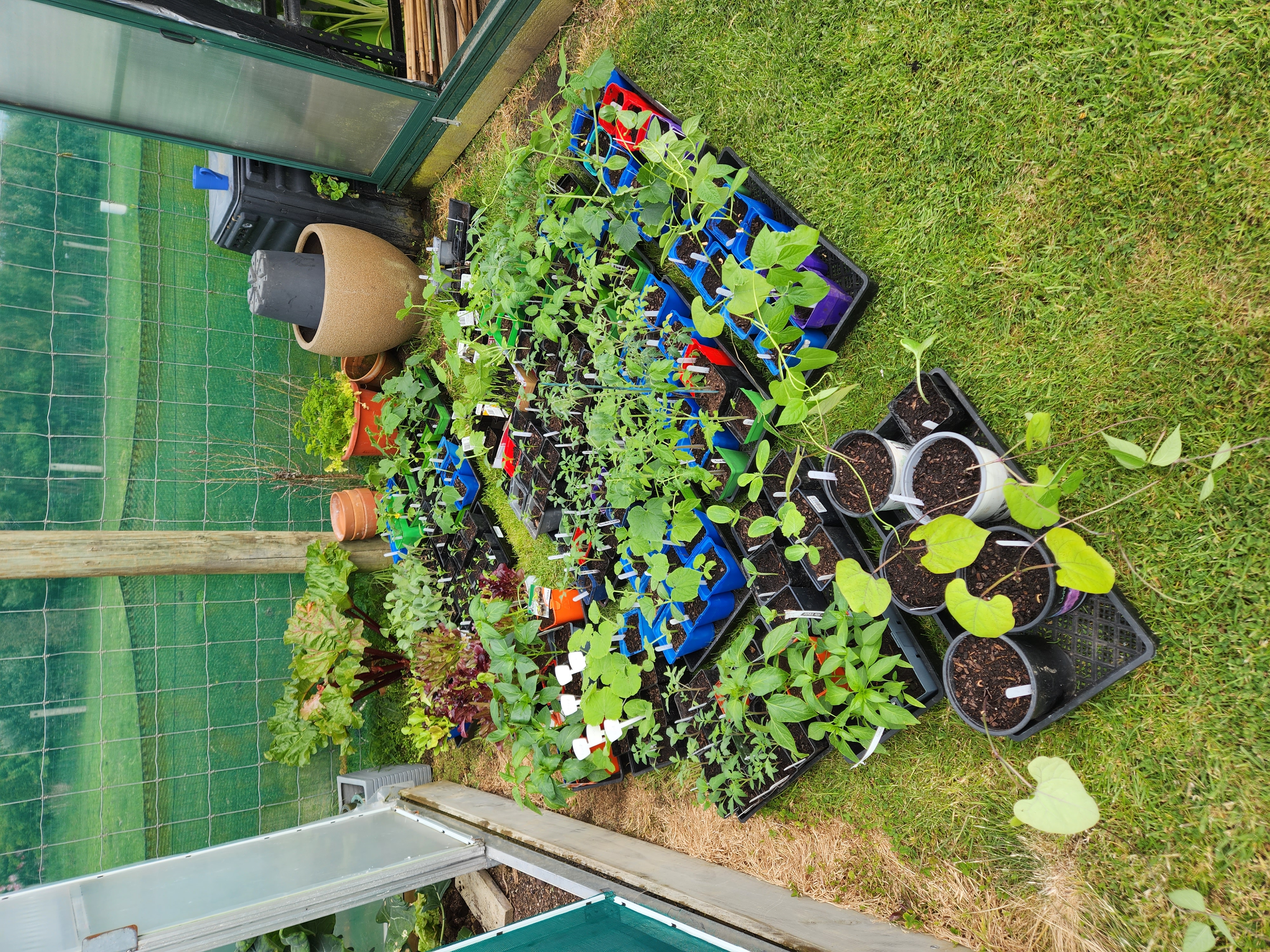 Small garden nursery? 