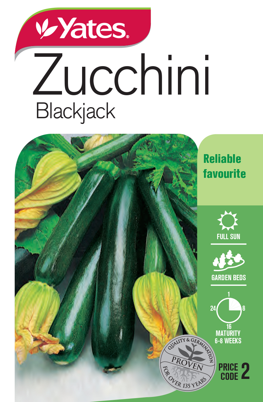 Zucchini 'Blackjack'