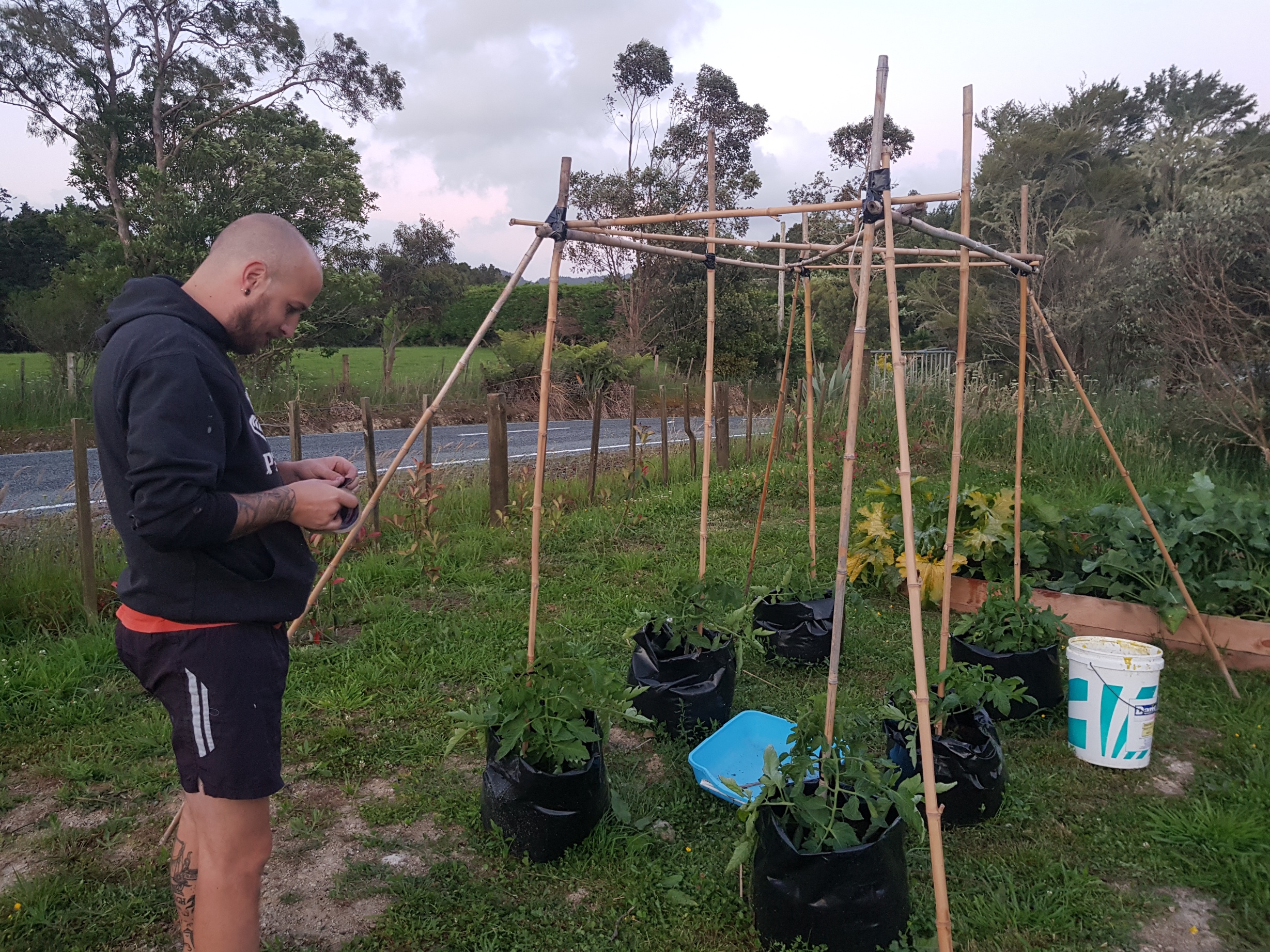 Garden Tips From An Engineer 