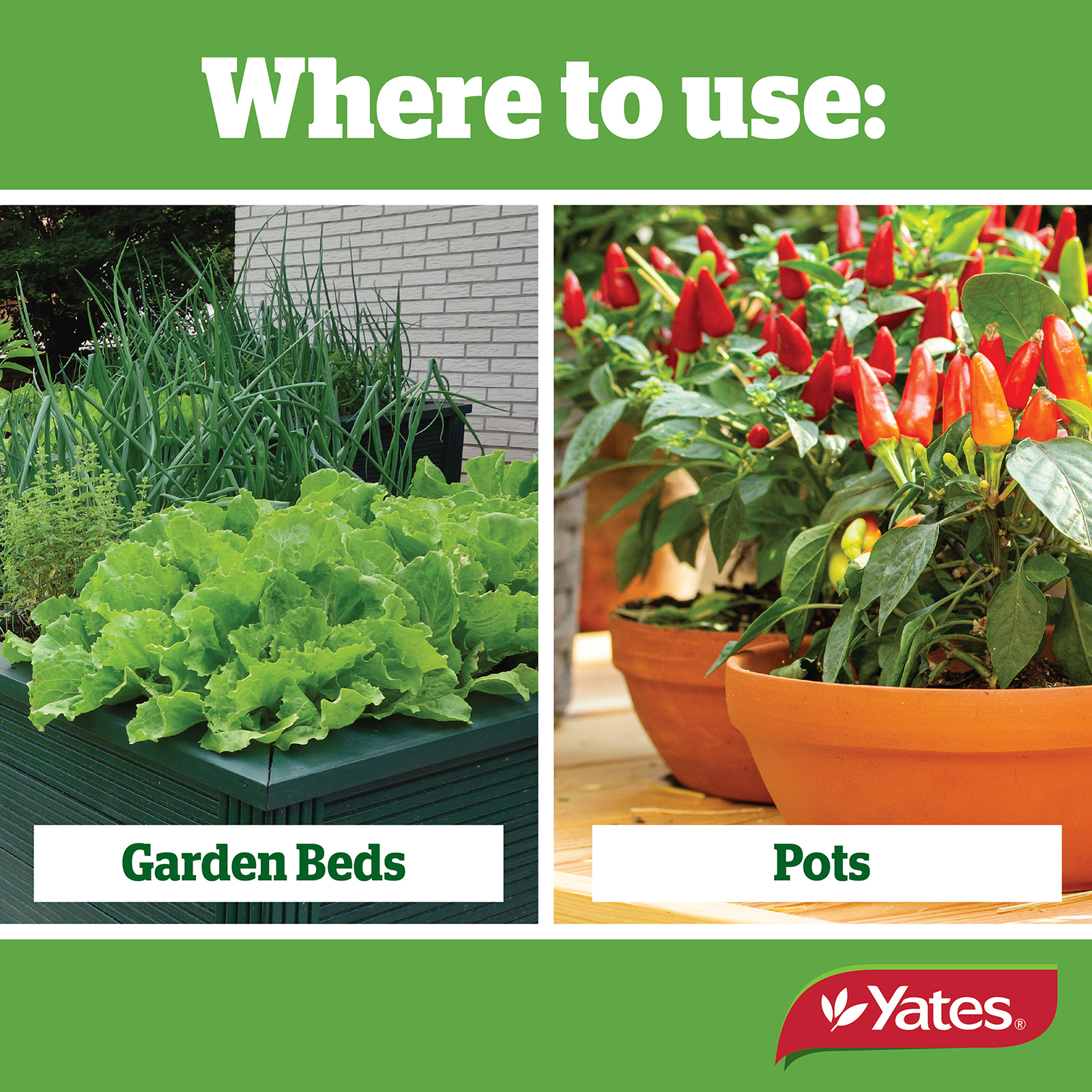 Yates Web Info PYRETHRUM 02