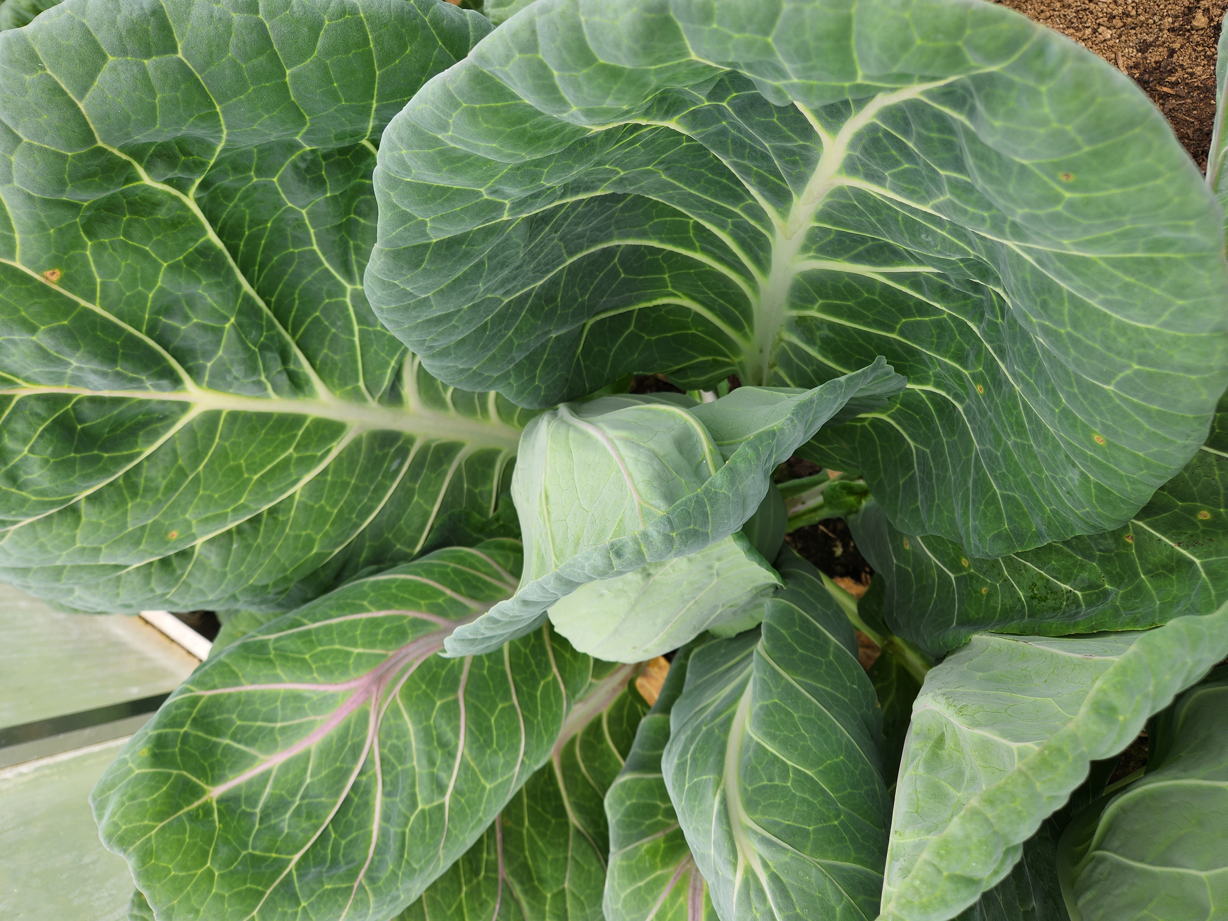 The Big Ole Waiting Game