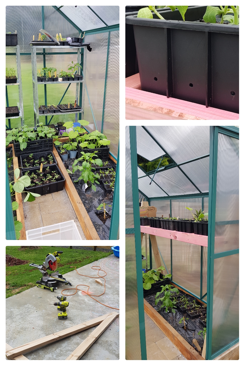 Greenhouse Improvements 