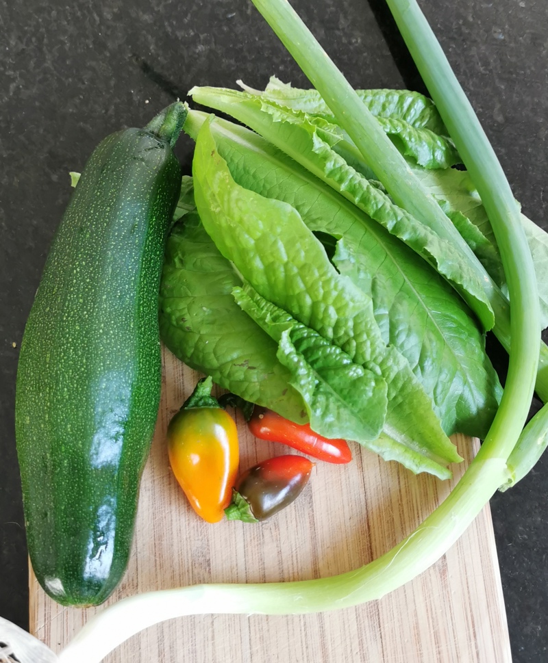 Peppers are producing...