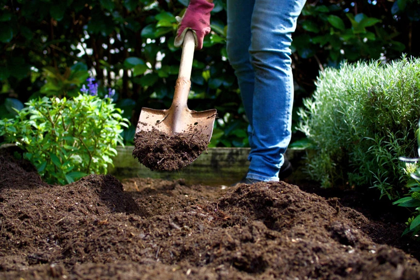 Digging In Soil
