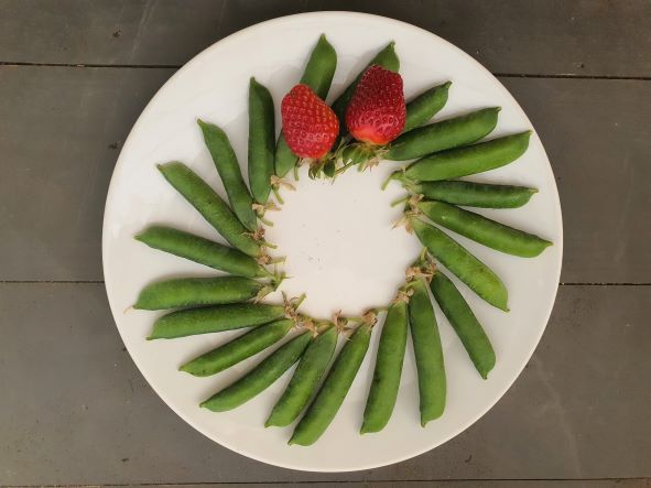 The last days… (Sad face emoji)