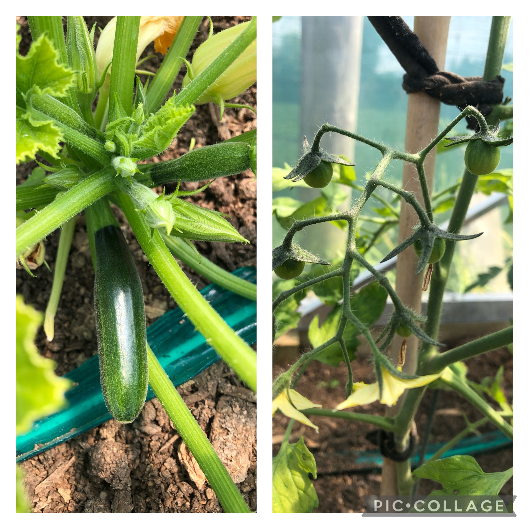 Firsts of the season 