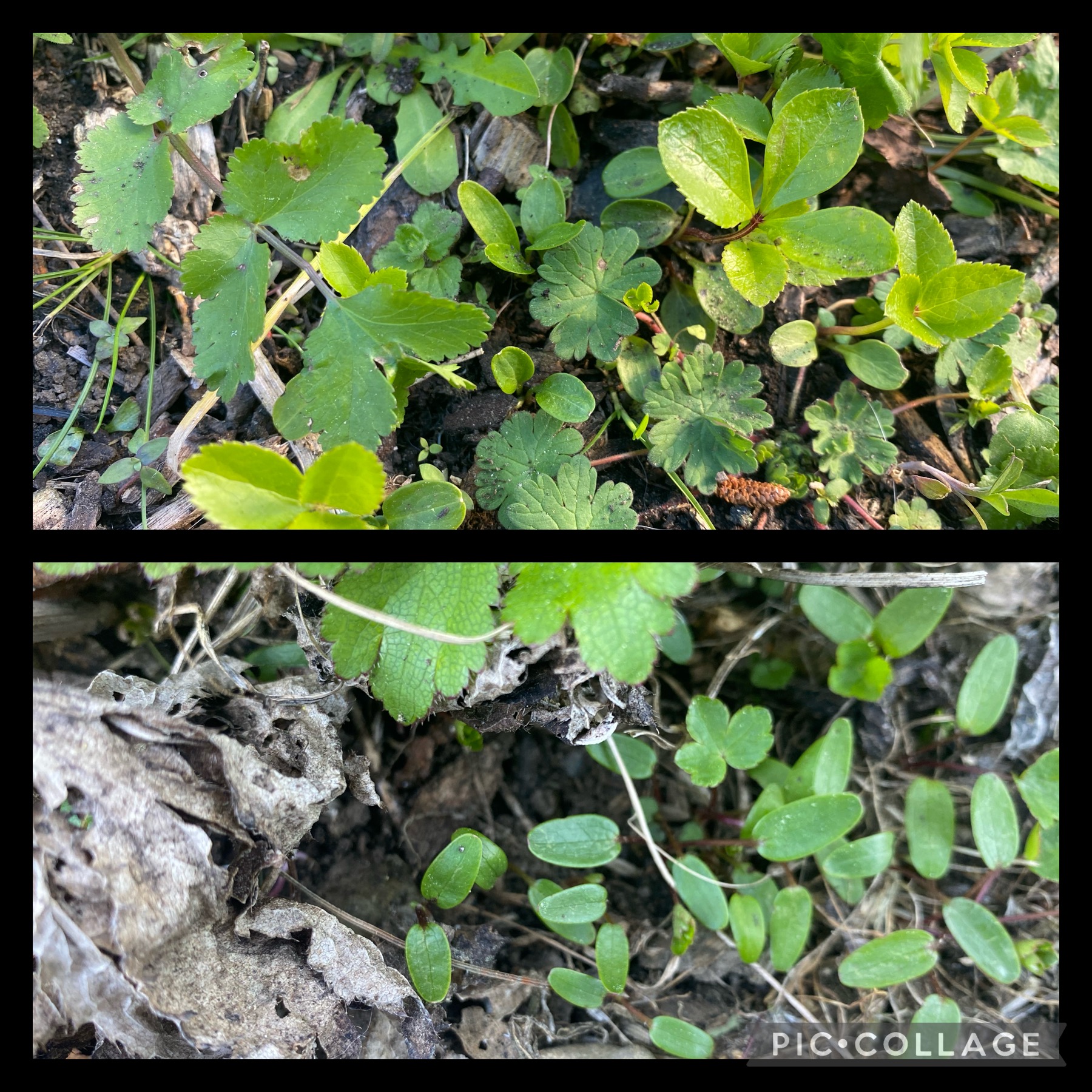 Mother Nature really does know best