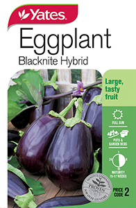 Eggplant 'Blacknite'
