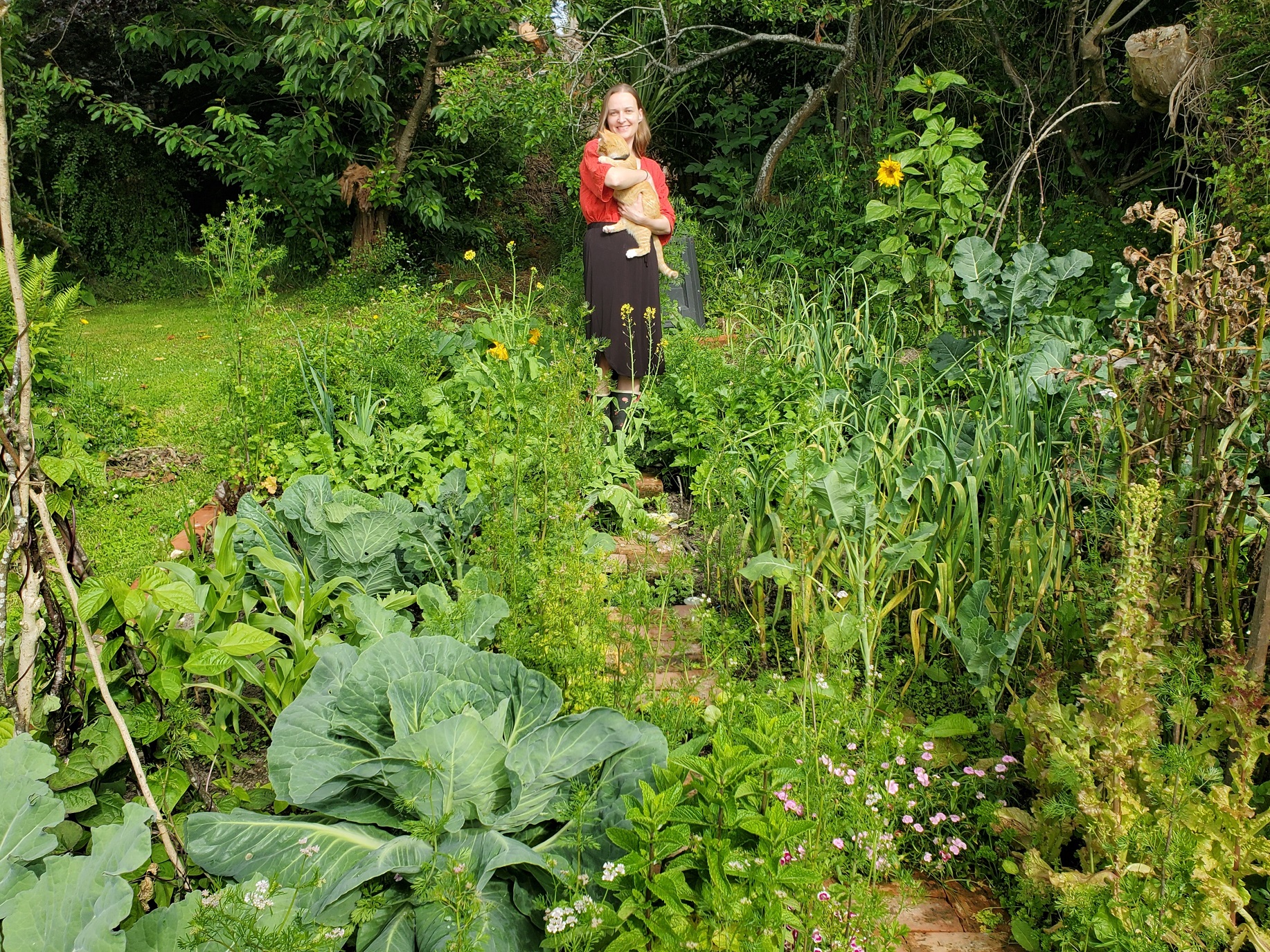 Merry Christmas from me and my veggie jungle!