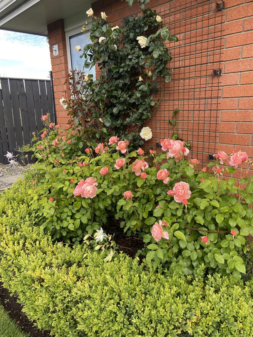 Stopping to smell the roses