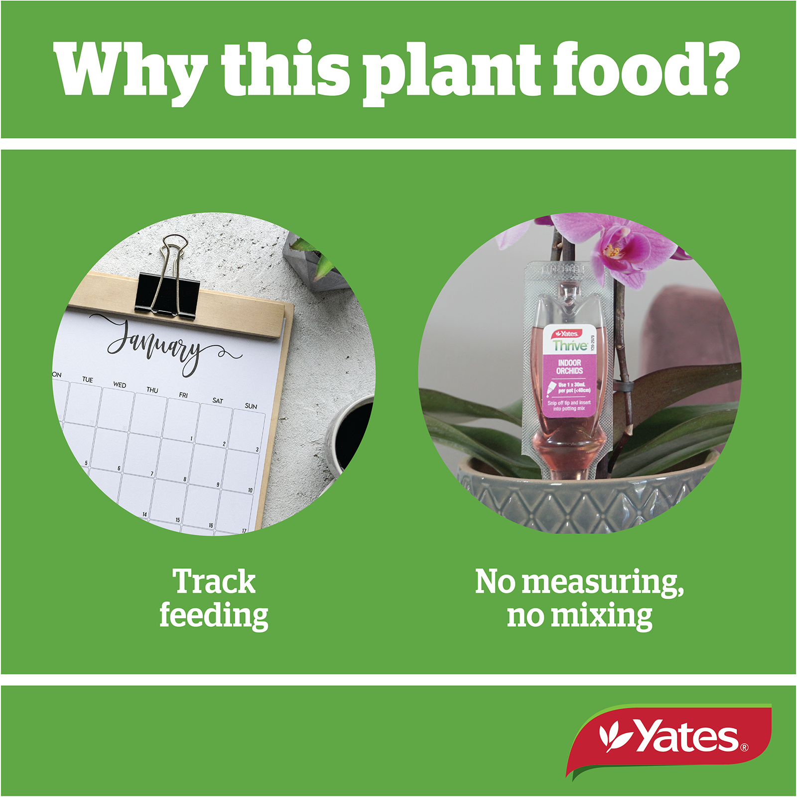 Yates Plant Drippers Orchid V2 05