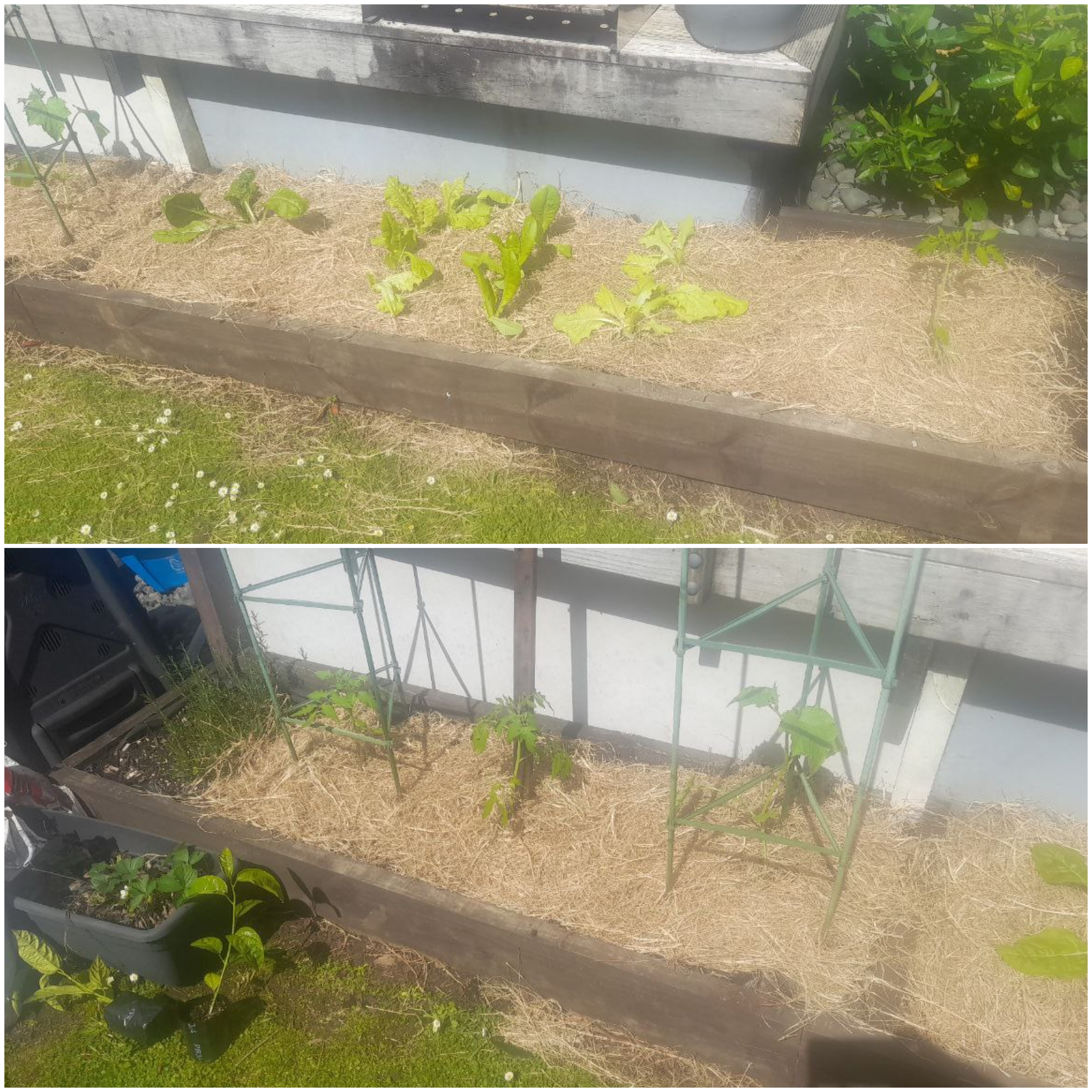 The Gift Of A Garden