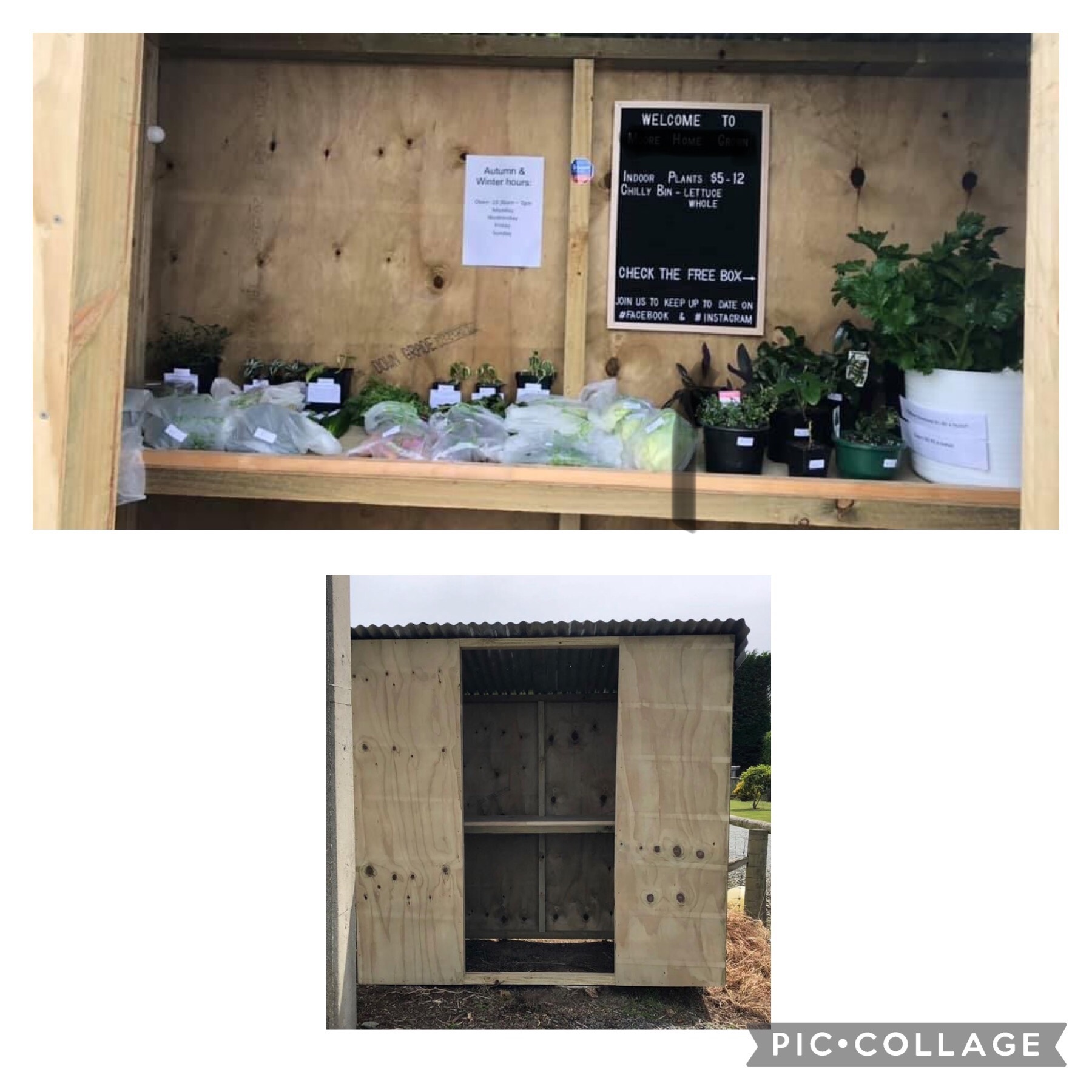 Turning dreams into reality