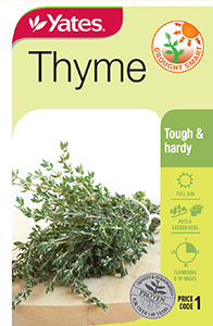 16772 Yates Herbthyme Packet Seed