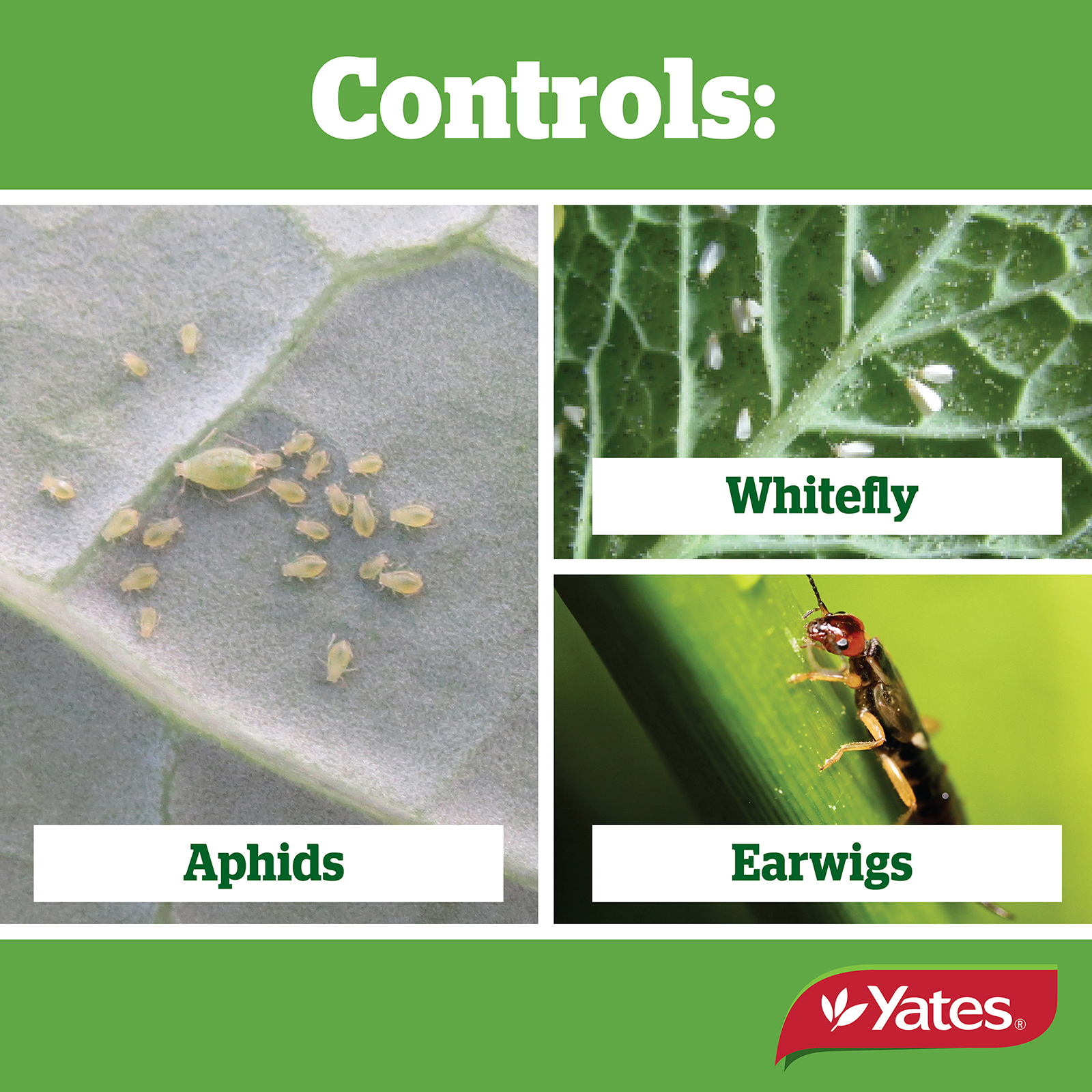 Yates Web Info Insect Gun RTU 750Ml 04