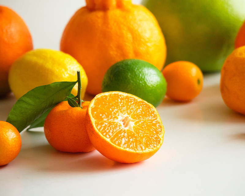 All About Citrus - How to Choose the Best Variety