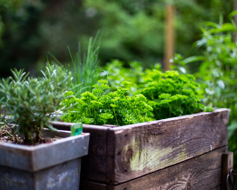 August Jobs - Things to Do