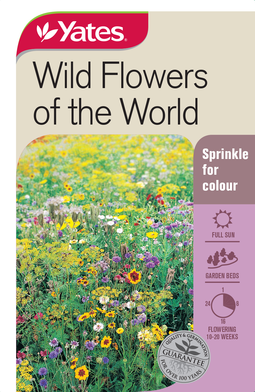 15867 Yates Flwr Wild Flowers Of The World Packet Seed