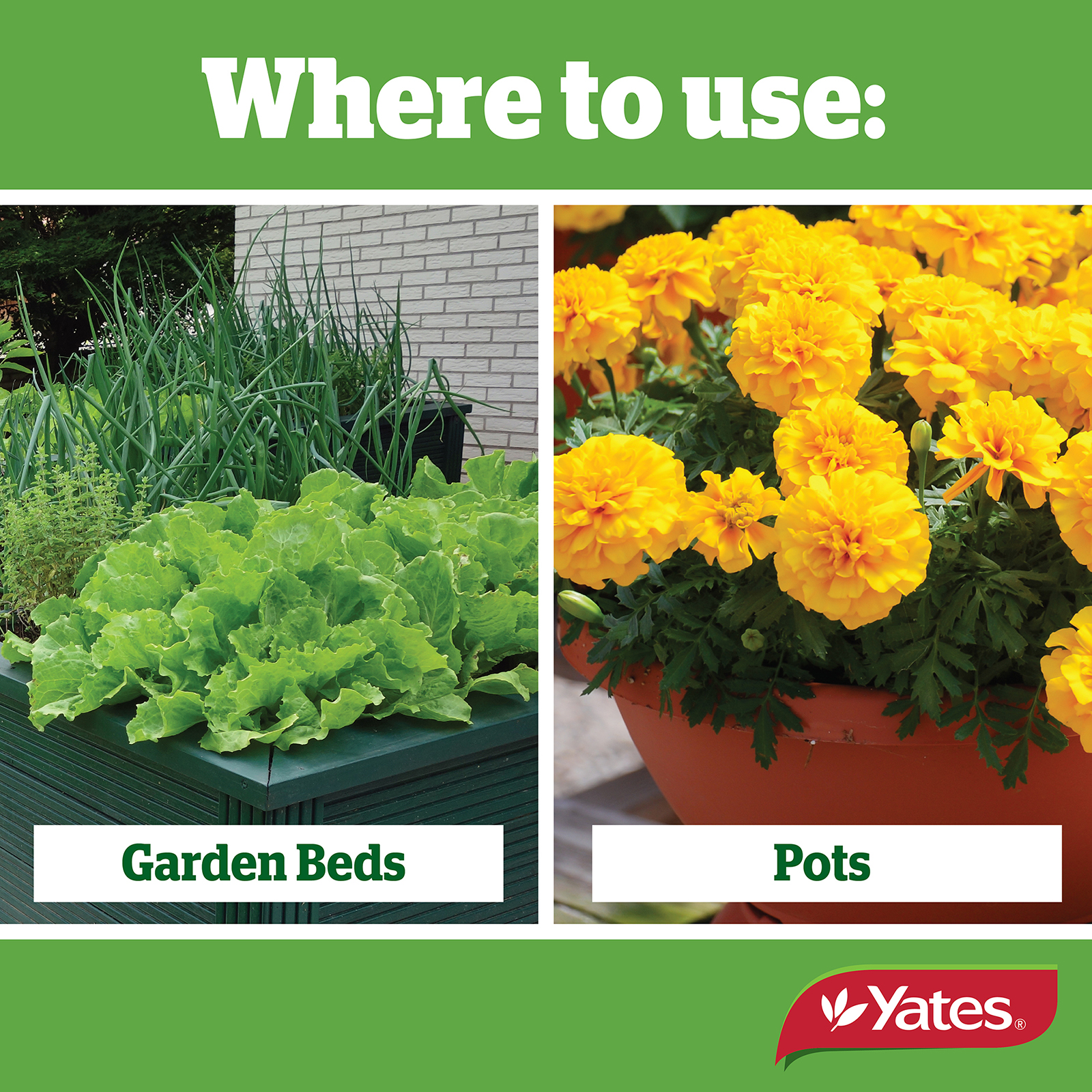 Yates Web Info SLUG AND NAIL 03