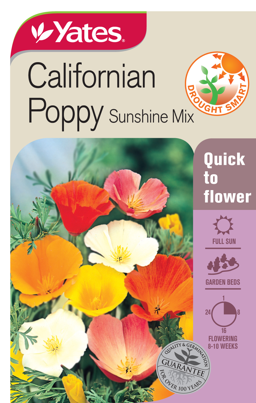 California Poppy 'Sunshine Mix'