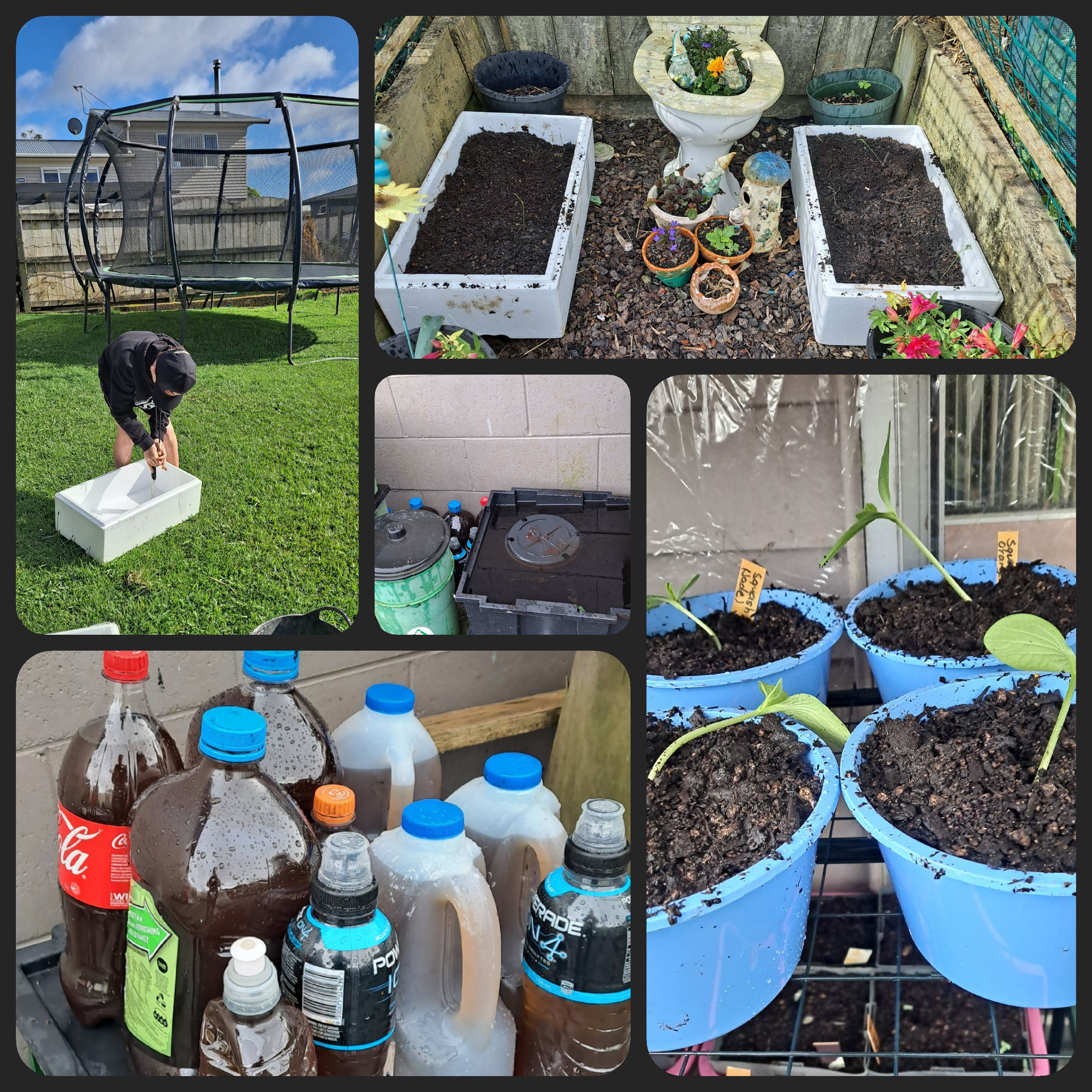 In the garden before the rain?! Or is it out of the garden before the rain?