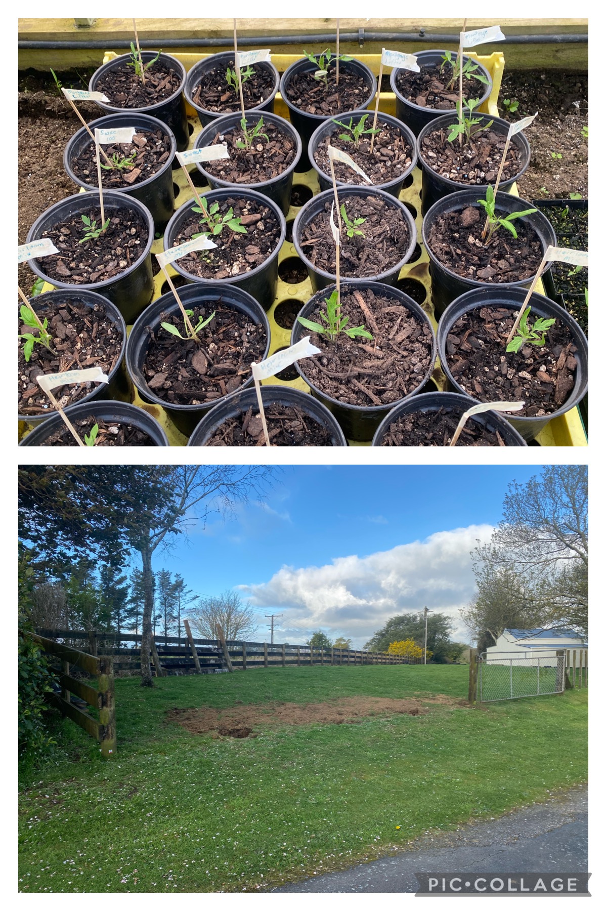 Good things are coming!!