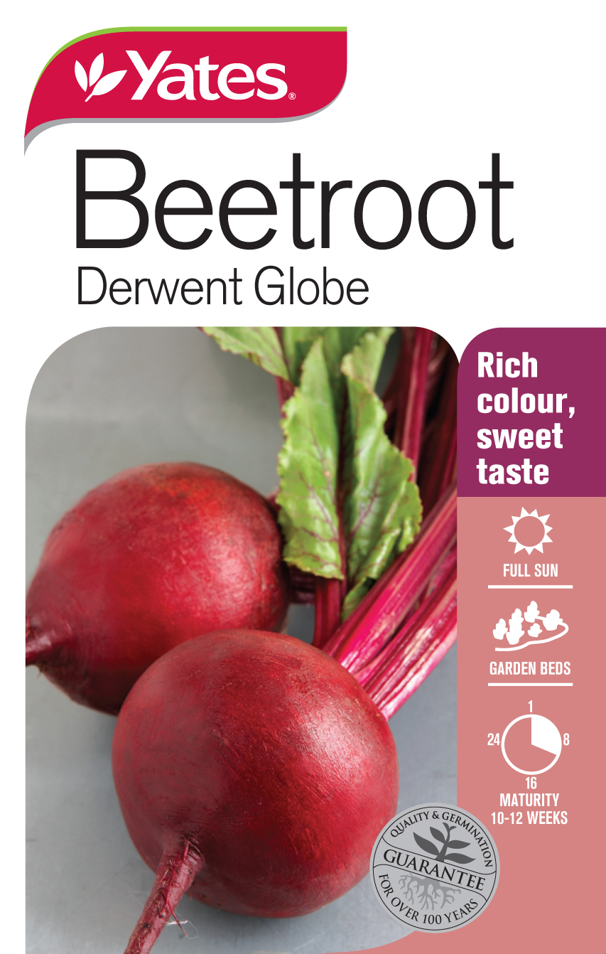 Beetroot 'Derwent Globe'